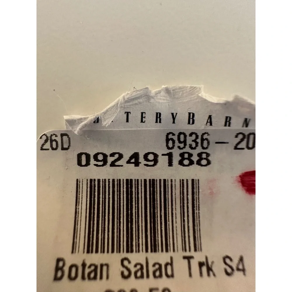 Pottery Barn Botanical Harvest Salad Plates Set of 4 New Turkey Floral 8.75
